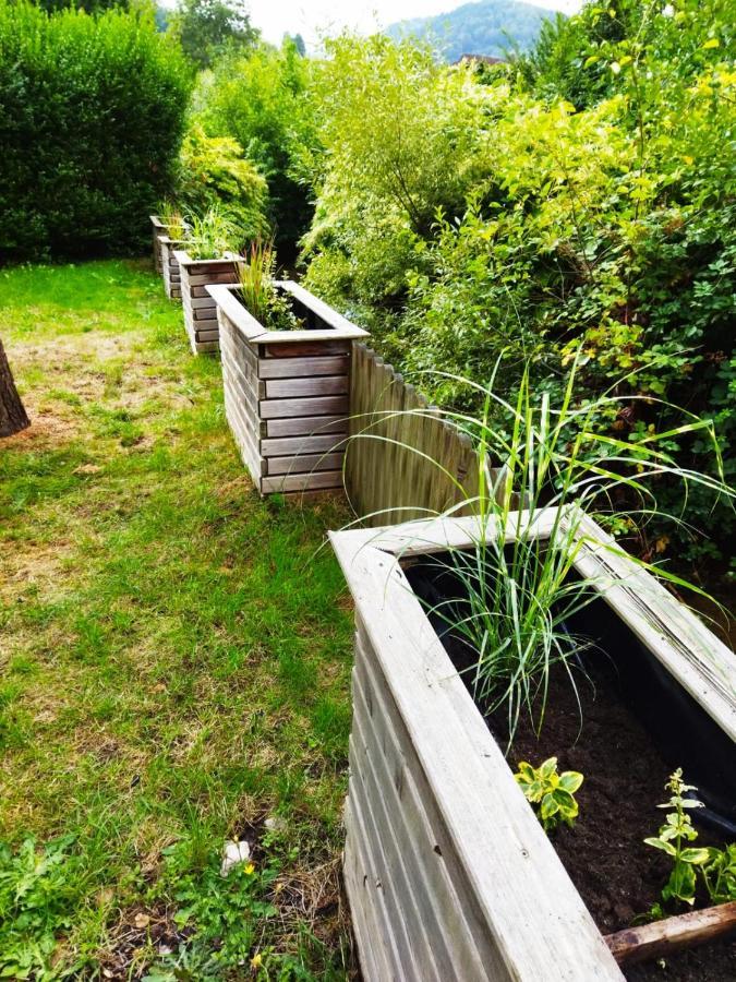 Haus Elsenbruch Apartment Bad Herrenalb Luaran gambar